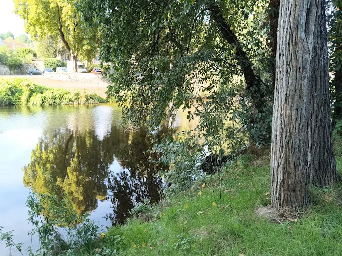 Rive ombragée de la Creuse, sous les arbres